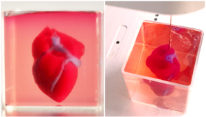 פוגשים חוקר - נדב נור על הדפסה תלת-ממדית של לב חי